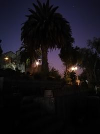 Silhouette palm trees against sky at night