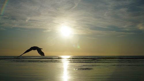 Silhouette person in sea against sky during sunset