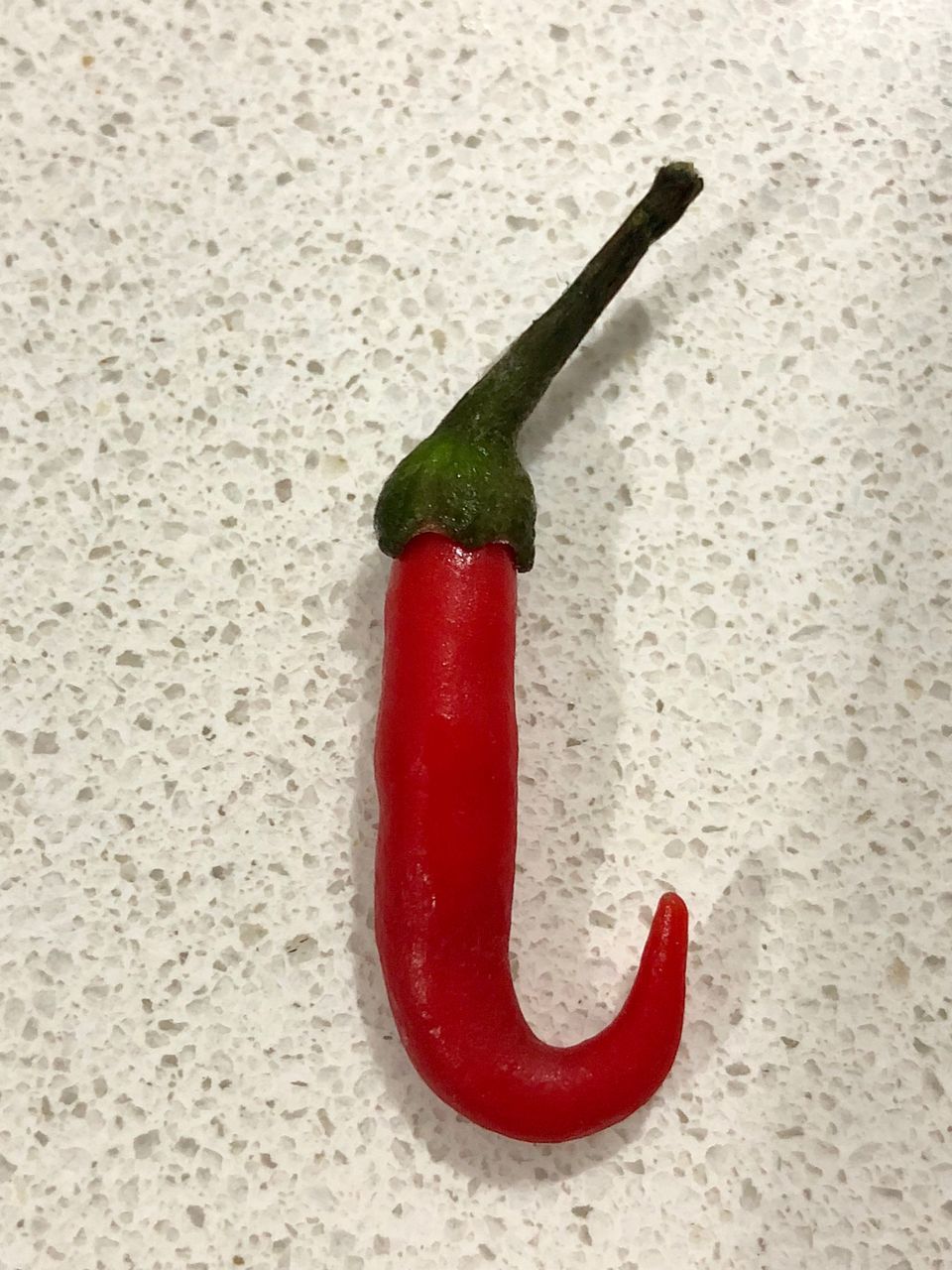 CLOSE-UP OF RED CHILI PEPPER AGAINST COLORED BACKGROUND