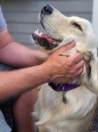 Midsection of man holding dog