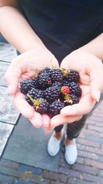 Handful of fresh berries from farms of beautiful netherlands 