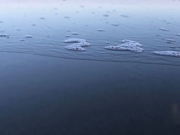 Close-up of snow on wet land