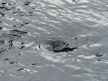 Close-up of rippled water