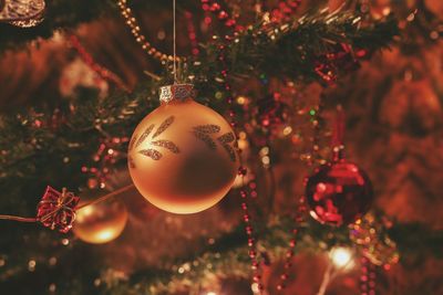 Close-up of illuminated christmas tree at night