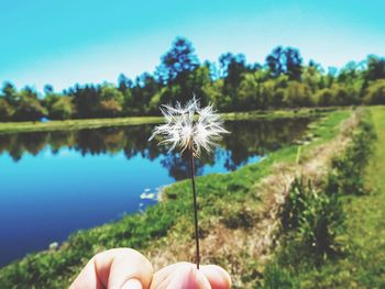 Cropped hand holding dandelion seed against pond