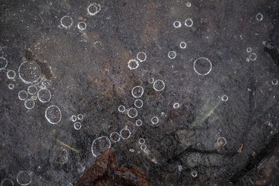 Directly above shot of bubbles in water