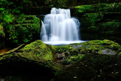 Scenic view of waterfall in forest