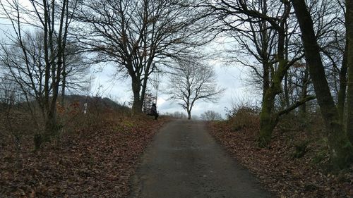 Road amidst trees in forest