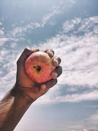 Close-up of hand holding fruit against sky