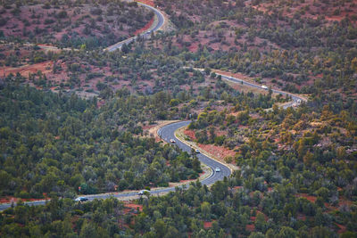 High angle view of road amidst trees and plants