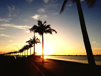 Palm trees on beach against sky during sunset