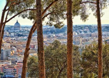 View of trees and buildings in city