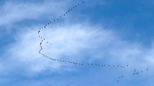 sky