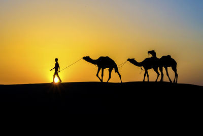 Silhouette people riding on beach against sky during sunset