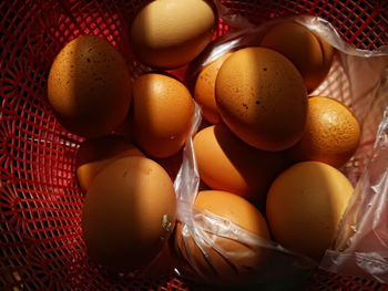 High angle view of eggs in container