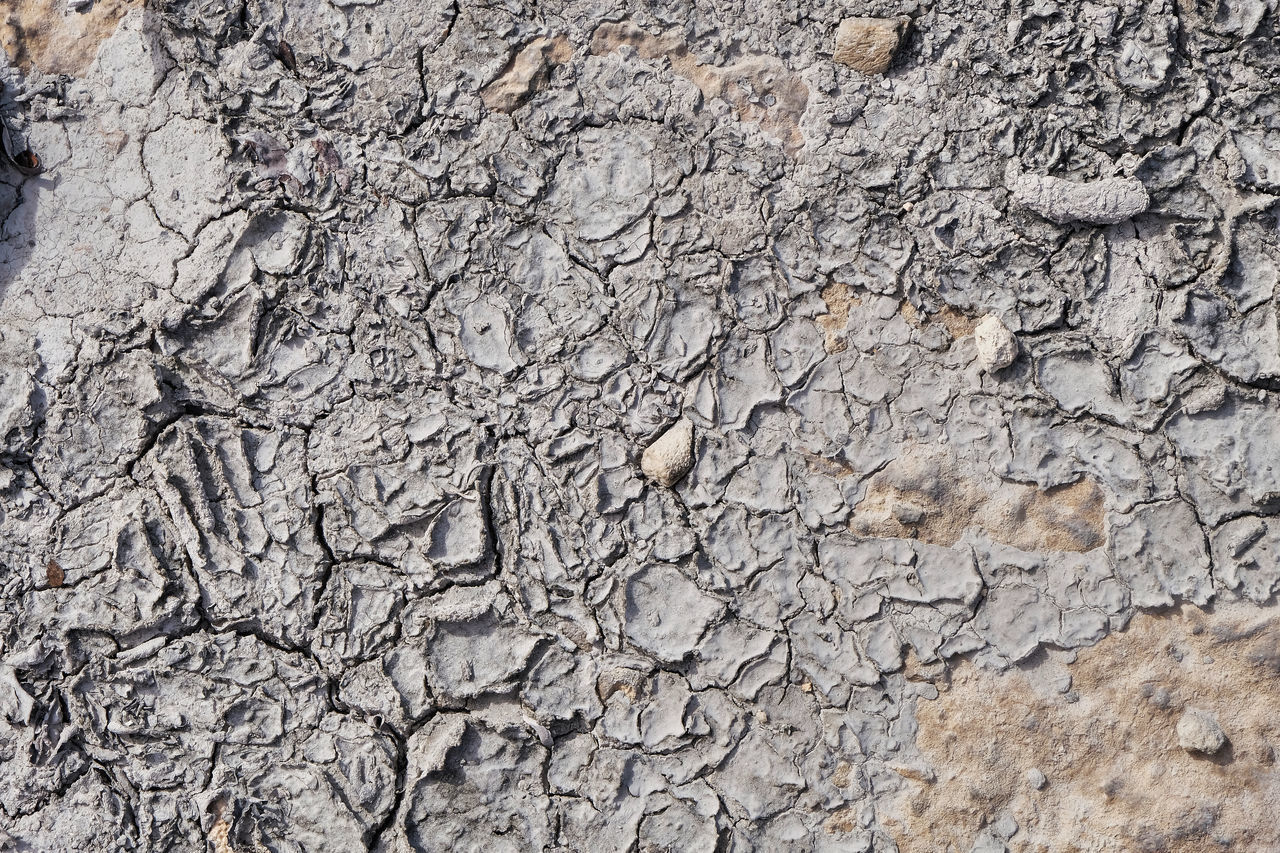 FULL FRAME SHOT OF DRY WALL