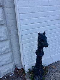 Black dog on wall