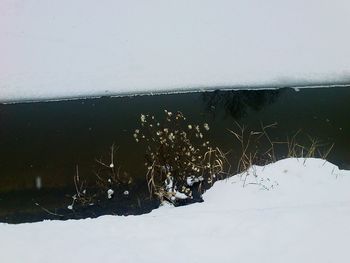 Snow covered landscape
