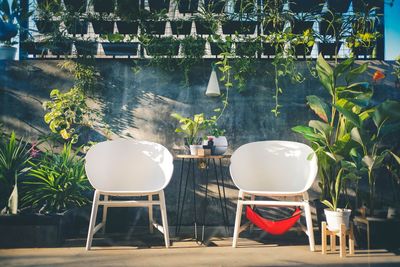 Empty chairs and table in restaurant