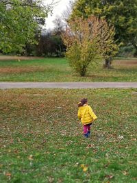 Rear view of girl on field