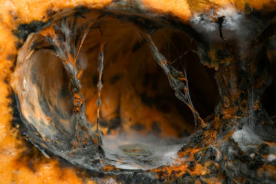 Full frame shot of autumn leaves in water