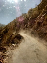 Road amidst trees against sky