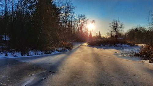 Snow covered trees against sky