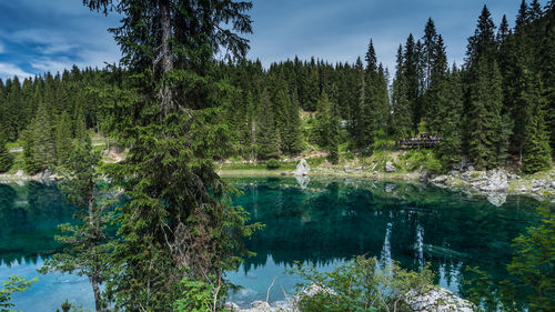 Scenic view of lake by trees against sky