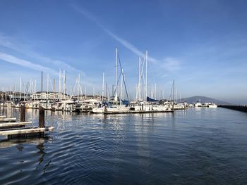 Sailboats moored in harbor