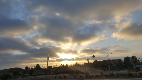 Silhouette of trees at sunset