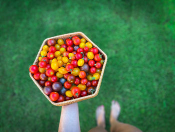 Close-up of hand holding multi colored candies