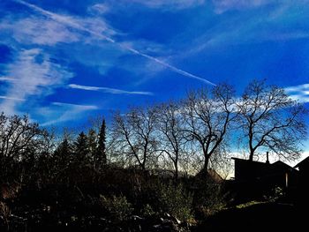 Low angle view of silhouette trees against sky