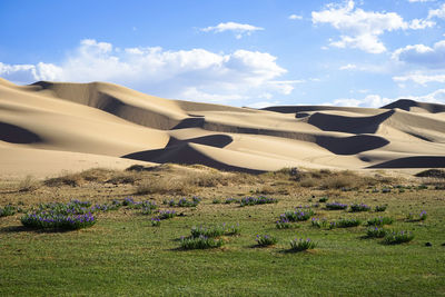 Scenic view of desert against sky