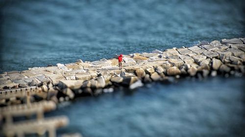 High angle view of man fishing on rock by sea