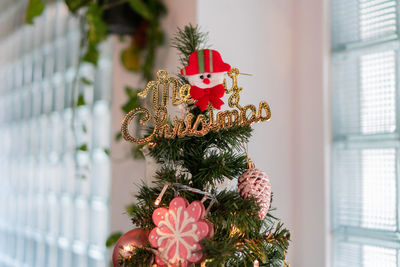 Close-up of christmas decoration