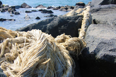 Fishermen nets and long old rope on the cliff in the sea