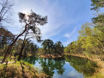 Reflection of trees in lake against sky