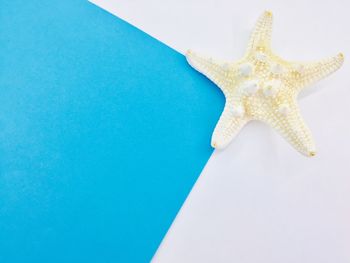 High angle view of blue sea against white background