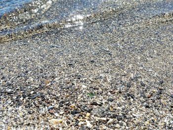 Full frame shot of pebble beach