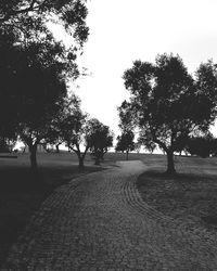 Trees in park against sky