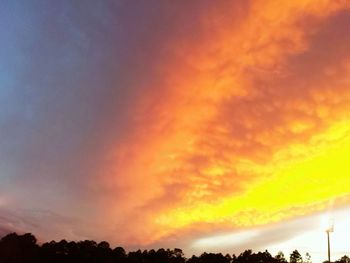 Silhouette of trees at sunset