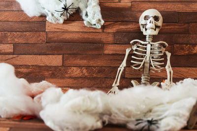 Directly above shot of animal skeleton and cotton on hardwood floor