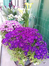 Close-up of purple flower bouquet