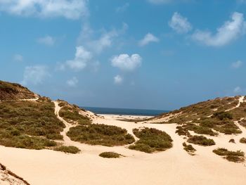 Scenic view of beach against sky