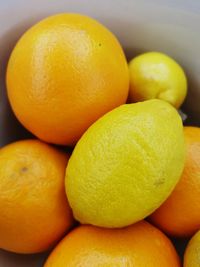 Close-up of oranges