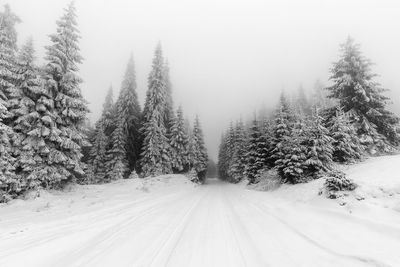 The beauty of winter on the snowy road in the mountains in rodnei mountains