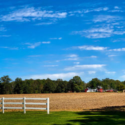 Scenic view of field against sky