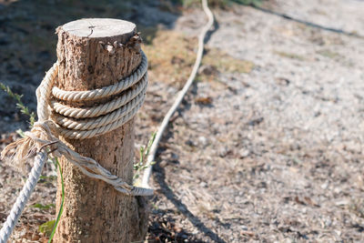 Close-up of rope tied on wooden post