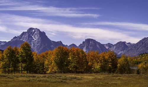 Scenic view of trees and mountains against sky