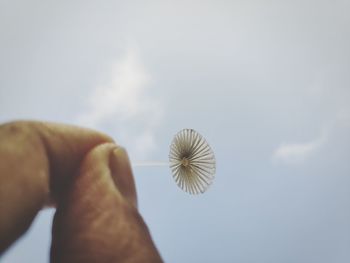 Low angle view of hands against sky